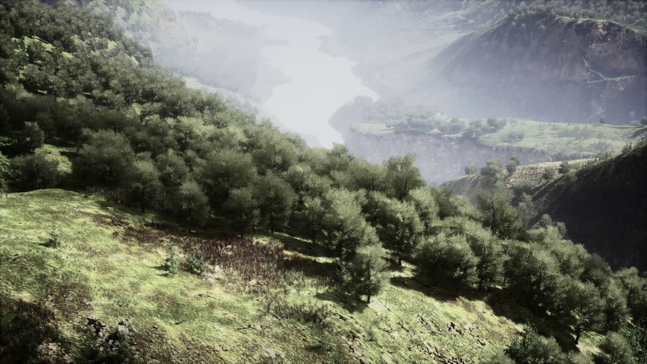 강 과 나무 가 있는 산 계곡