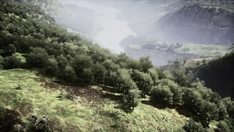 mountain valley with river and trees