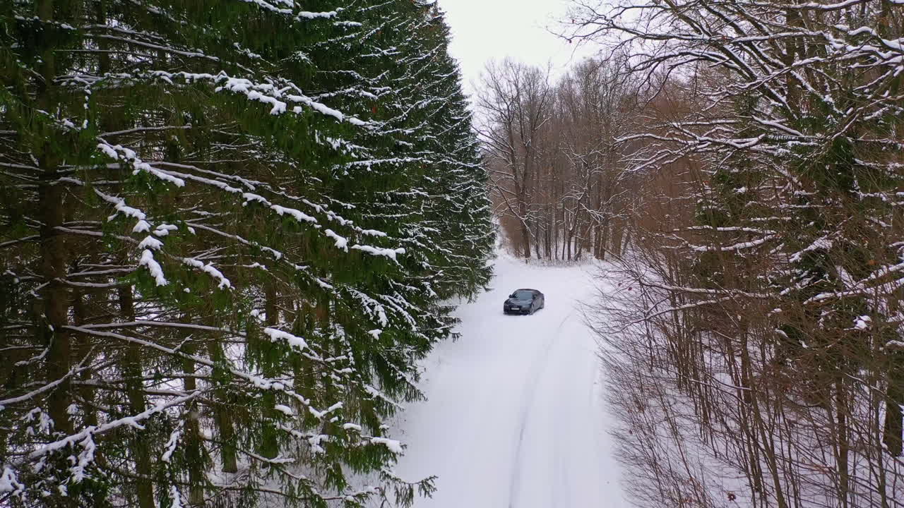 Winter landscape. Forest and country road in the snow. Black car in the forest. Snow covered coniferous trees. Backward movement.