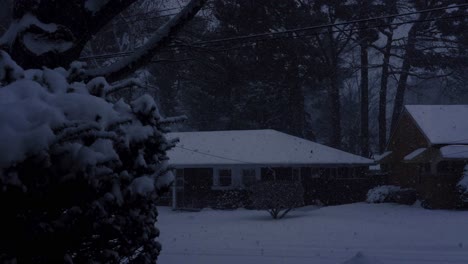 Tarde-De-Enero.-Nevadas-Nocturnas-En-Michigan