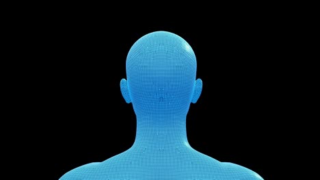 man, male 3d wireframe model, seamless loop