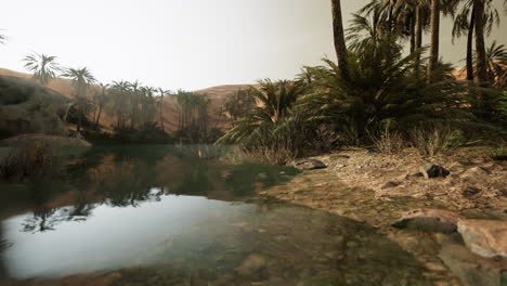 Escena-Colorida-Con-Una-Palmera-Sobre-Un-Pequeño-Estanque-En-Un-Oasis-En-El-Desierto