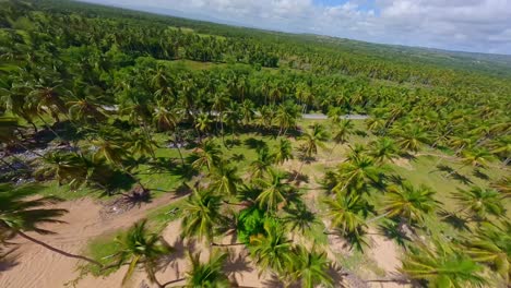 vuelo de drones fpv sobre la prístina playa de arroyo salado y a lo largo del río