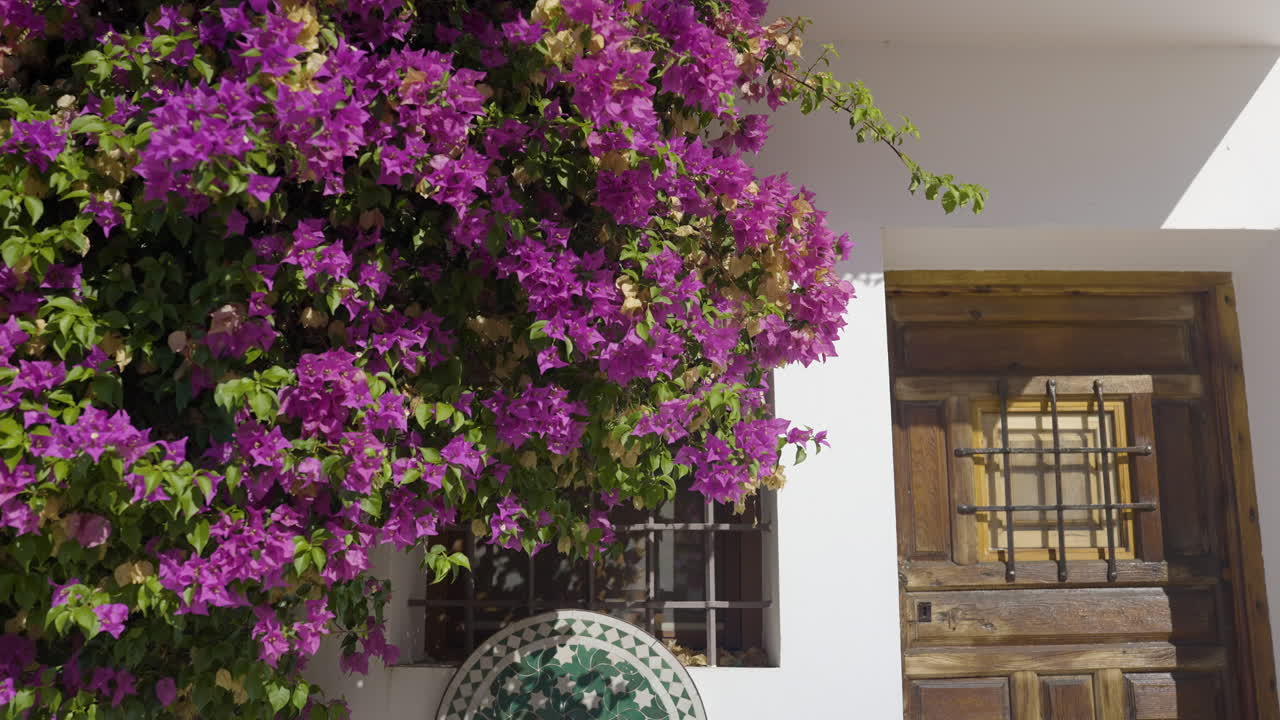 Colorful House with Bougainvillea