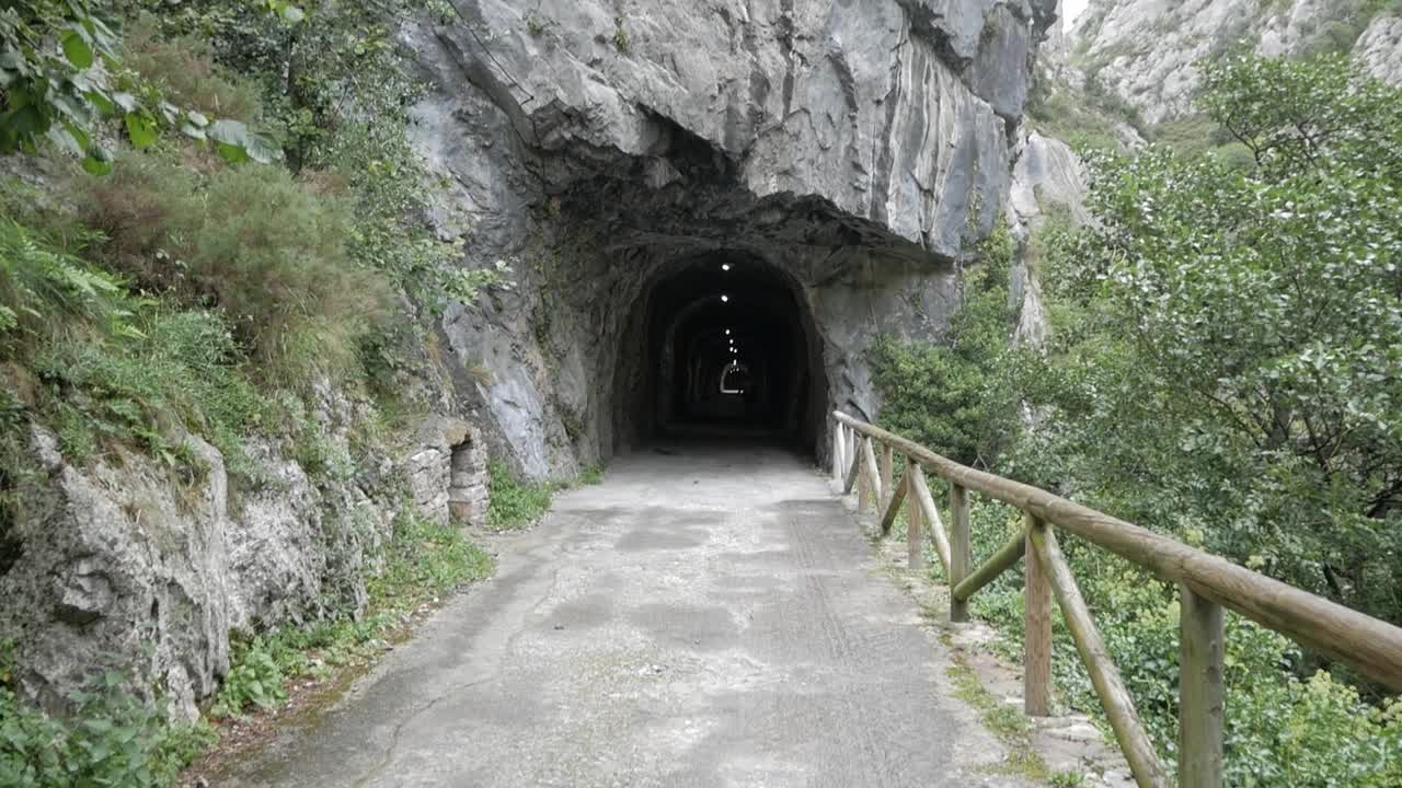 Static view of a woman riding her bicycle through a bear route. Spain