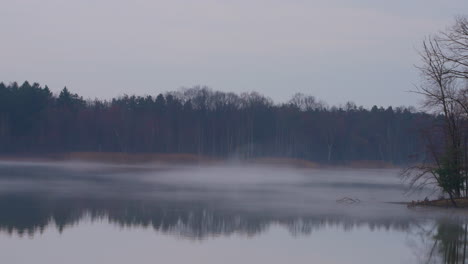 disparo panorámico del lago en una mañana de otoño brumosa