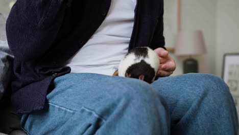 man playing with rats