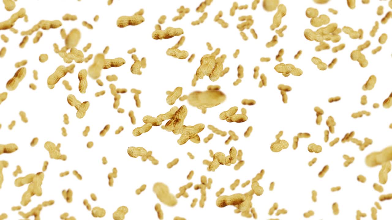 volare molte arachidi su sfondo bianco. arachidi crudi. arachidi in gusci. cibo biologico sano. animazione a ciclo 3d della rotazione dei semi.