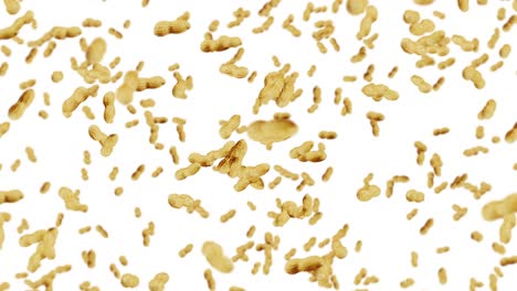 volando muchos cacahuetes en fondo blanco. cacahuetes crudos. cacahuete en conchas. alimentos orgánicos saludables. animación de bucle 3d de la rotación de semillas.