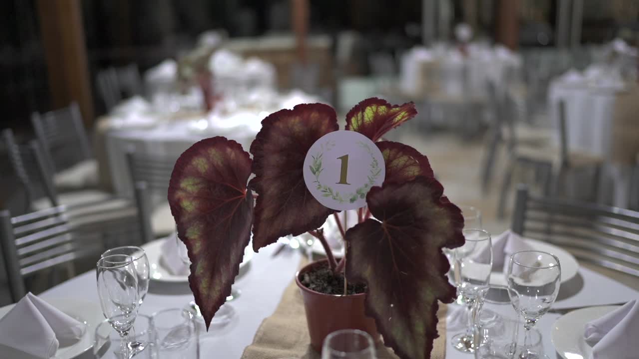 Parallax shot orbits wedding reception table number 1 featuring a potted begonia centerpiece white place settings and burlap runner