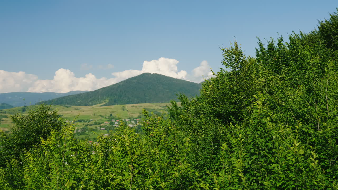 숲 스키 리조트로 덮인 산을 배경으로 강 근처의 작은 마을