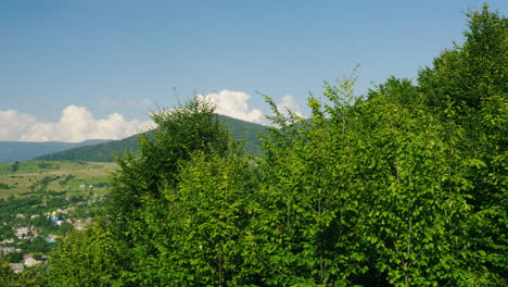 숲 스키 리조트로 덮인 산을 배경으로 강 근처의 작은 마을