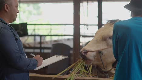 dos agricultores asiáticos hablando después de comprobar y examinar las vacas en el establo