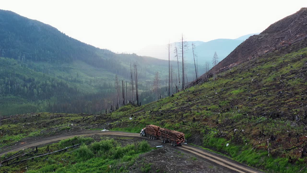 목재 수송: 브리티시 의 숲 도로 에 있는 목재 수송 트럭