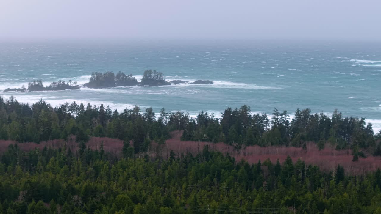 밴쿠버 섬에 있는 토피노의 드론 촬영은 가을의 색, 거친 해안선, 그리고 바다의 파도를 풍경적인 공중 전망으로 보여줍니다.