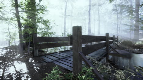 suspended wooden bridge crossing the river to foggy mysterious forest