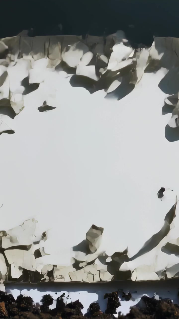 Vertical video: Edges tearing white sheet from tray rim, showing dark soil on table debris falling