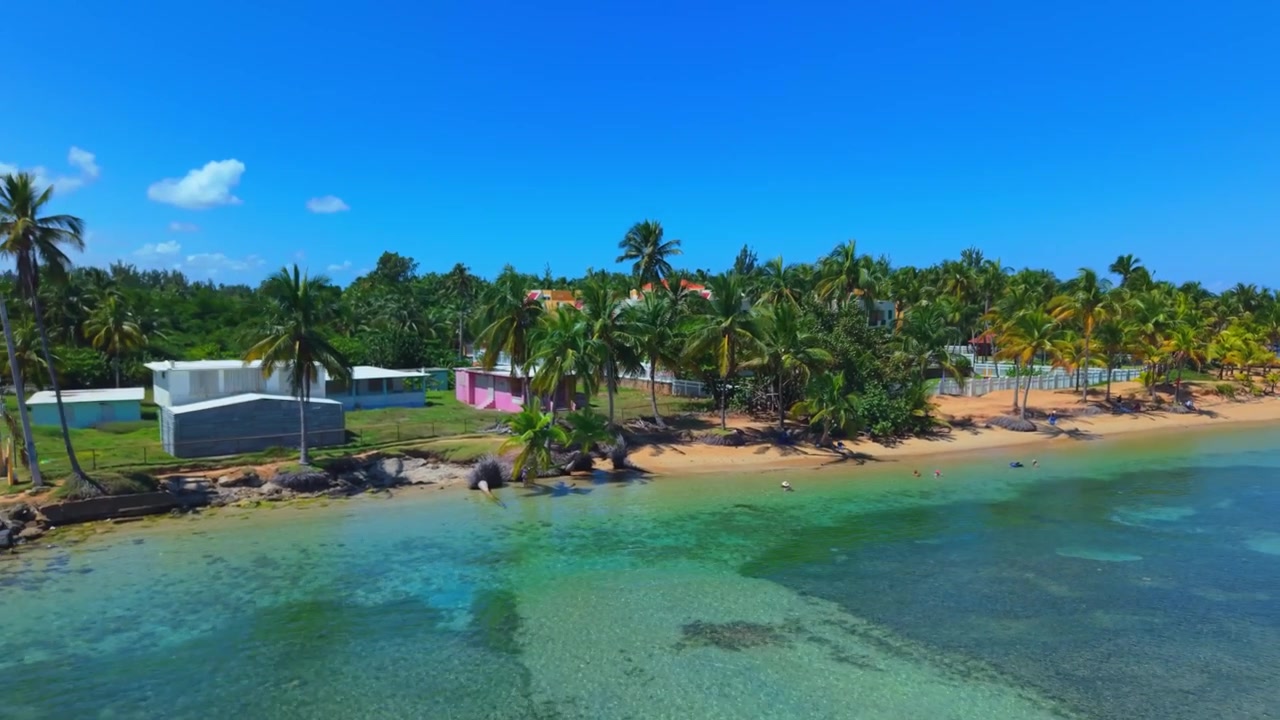 Volo drone sulla costa oceanica di Playa Azul con palme e cielo blu, Porto Rico.