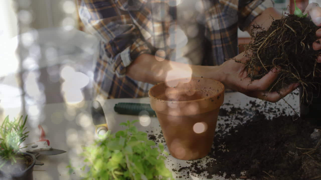 animación de manchas de luz brillantes sobre la planta de macetas de la mujer biracial.