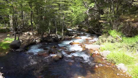 paisajes de la patagónica provincia de río negro en argentina