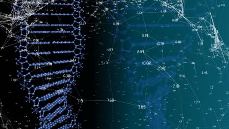 animation of data processing and dna strand on black background