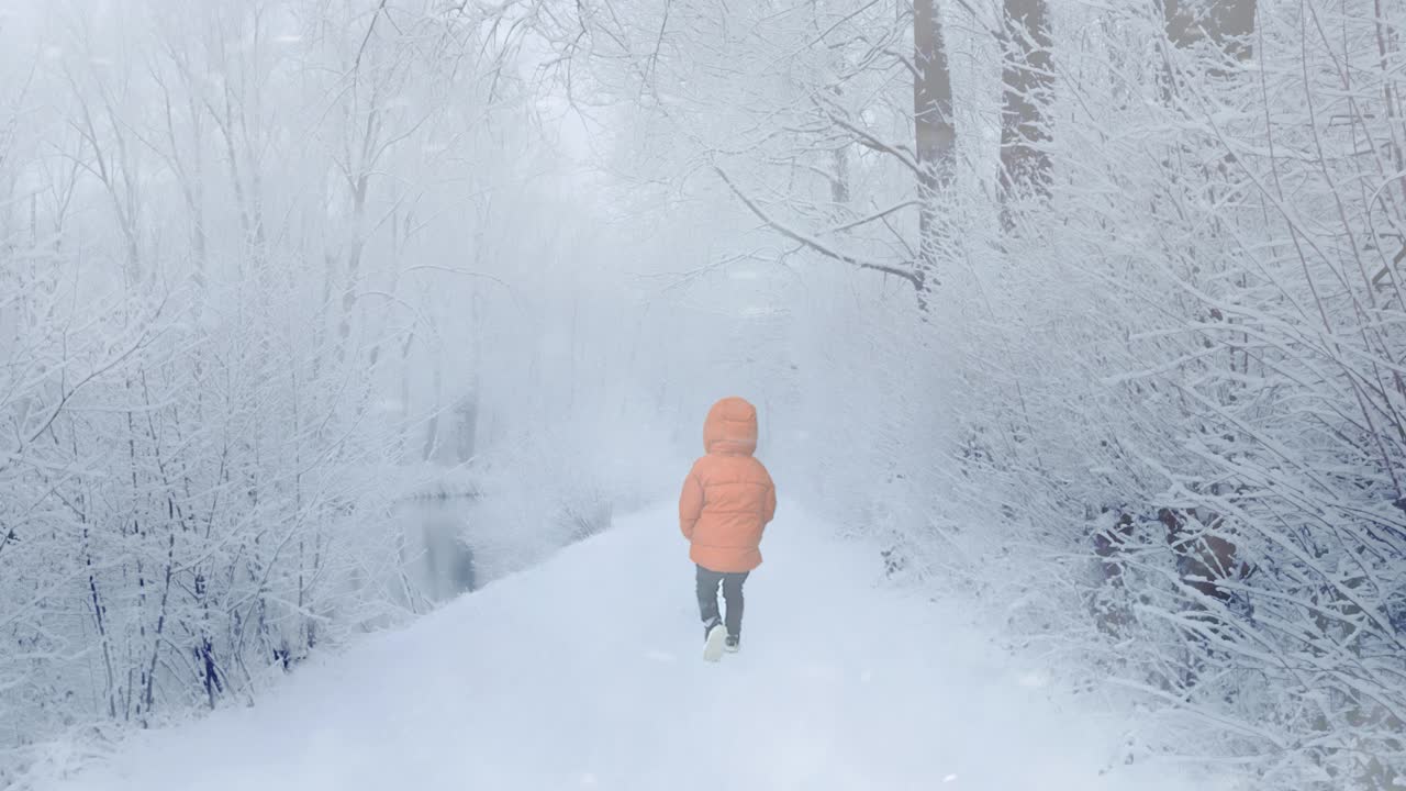 시네마그래프, 무결한 루프, 오렌지색 재을 입은 소년이 눈이 내리는 이상한 풍경에서 고 있는 뒷면