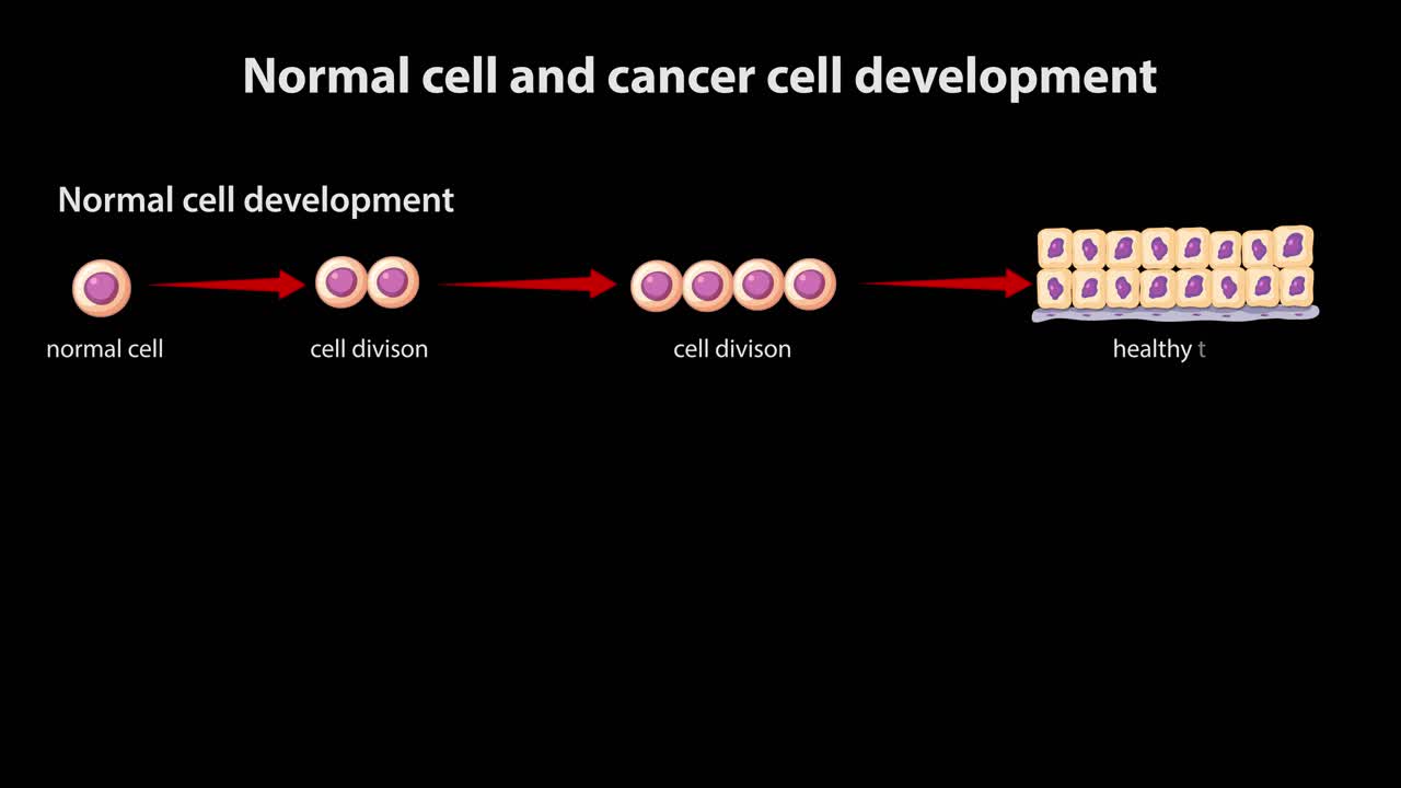 Animated diagram contrasts normal cell division with abnormal cancer growth, highlighting tumor formation and transitions