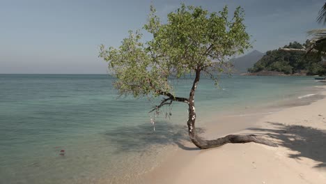 low-angle-drone-fly's-over-tropical-tree,-turquoise-water-and-white-sand-beach