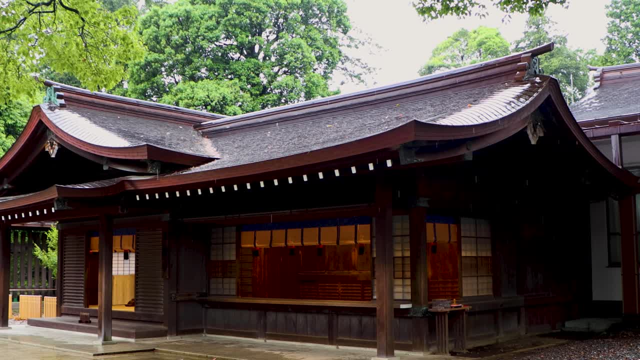 도쿄 최고의 전망