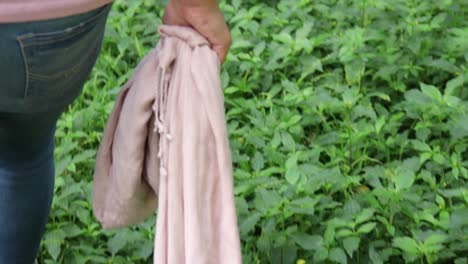 beautiful indian woman smiling and looking at the camera