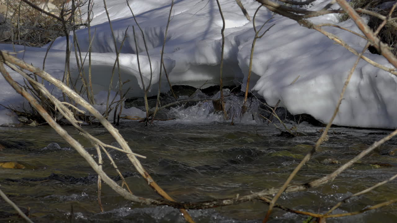 Snowy Bank Of Stream Flowing Through The Forest With Dried Branches Of Trees. - wide shot