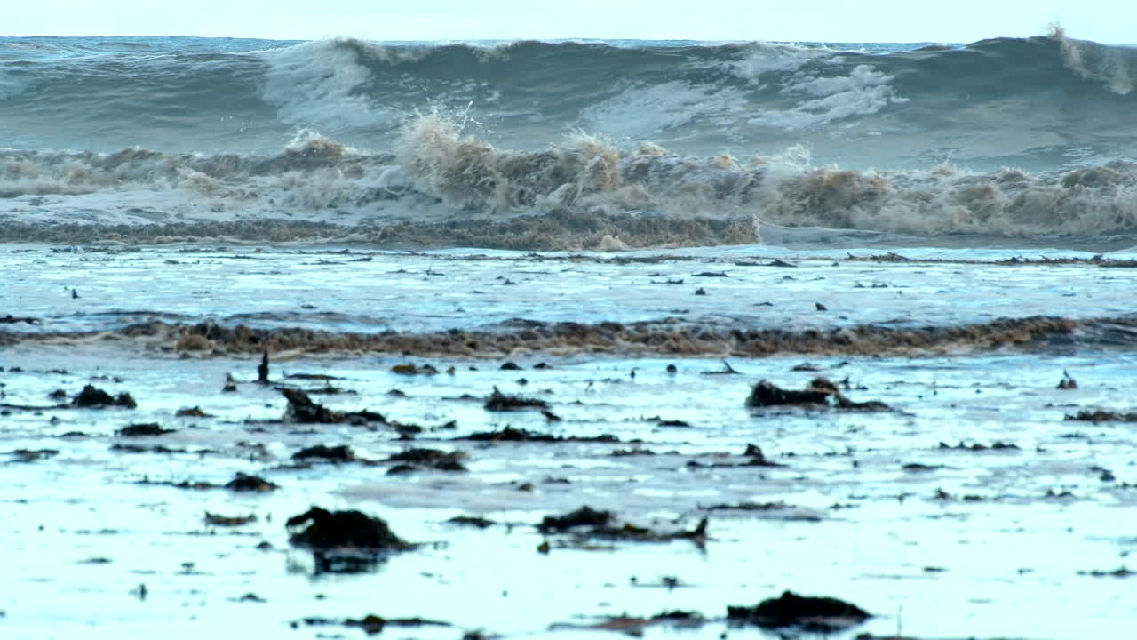 Discolored waves running toward beach and debris in shallows after coastal storm