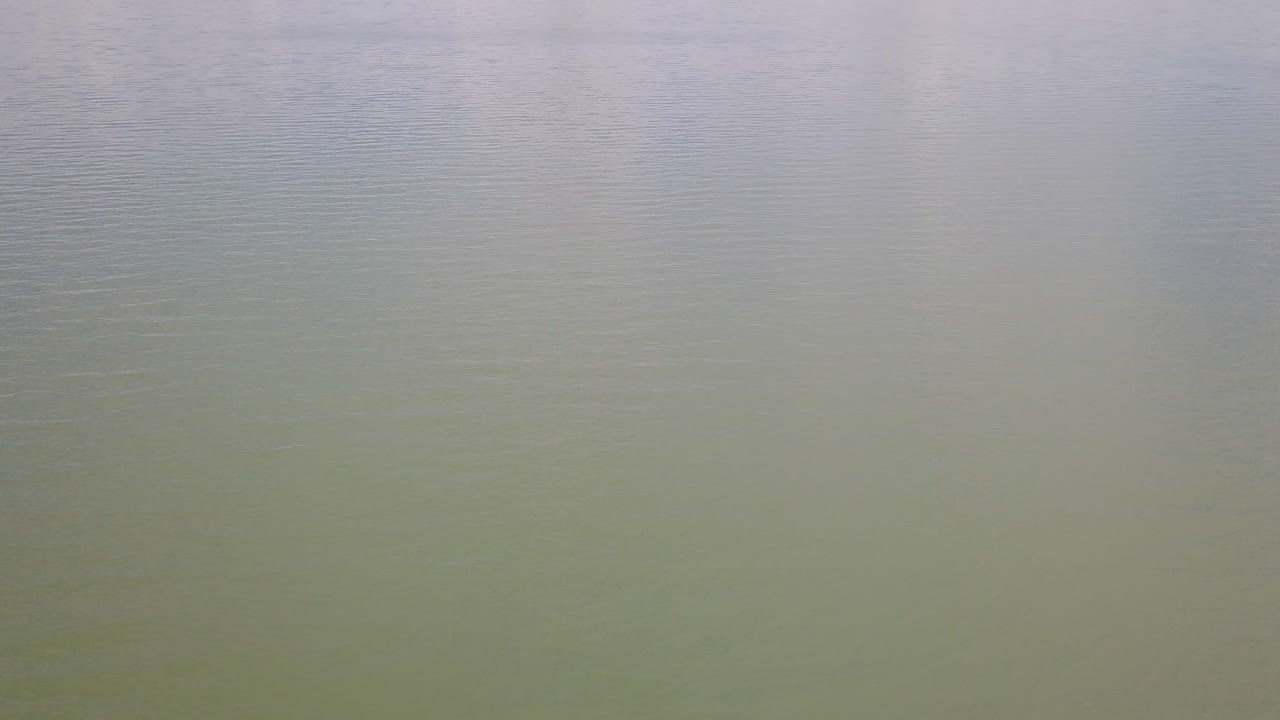 foto de una hermosa playa con fondo de montaña