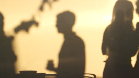 shadows of four adults socialising on a brooklyn rooftop