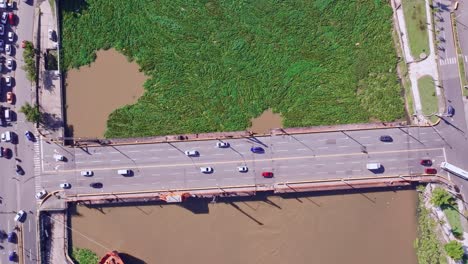 traffic on road and many sea plants growing on ozama river in dominican republic