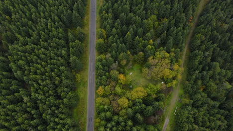 aerial view of a trail in a hilly landscape full of trees on top of a mountain