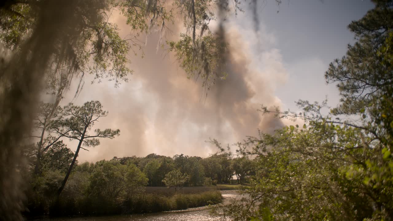 산타로사 카운티의 5 마일 습지 화재
