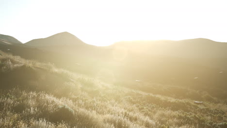 sunset over the valley fields