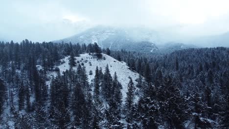 Foggy-frozen-forest-with-icy-trees-and-clouds