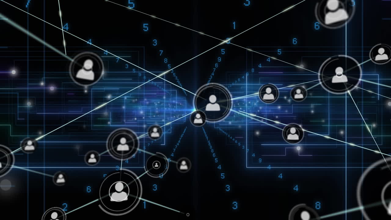 Animation of network of connections over data processing