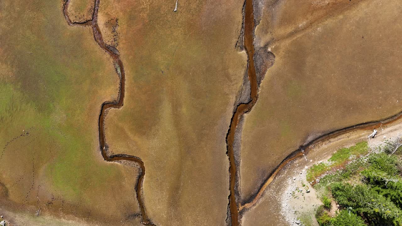 Top View Of Meandering Rivers At Biogradska Gora National Park On Montenegro. aerial shot