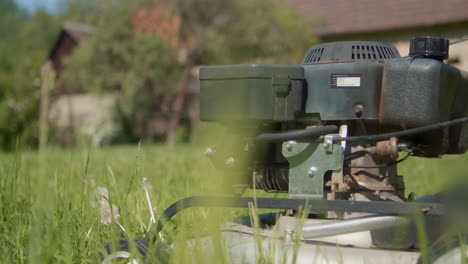 dandelion doesn't want to give up the power mower and resists for a while