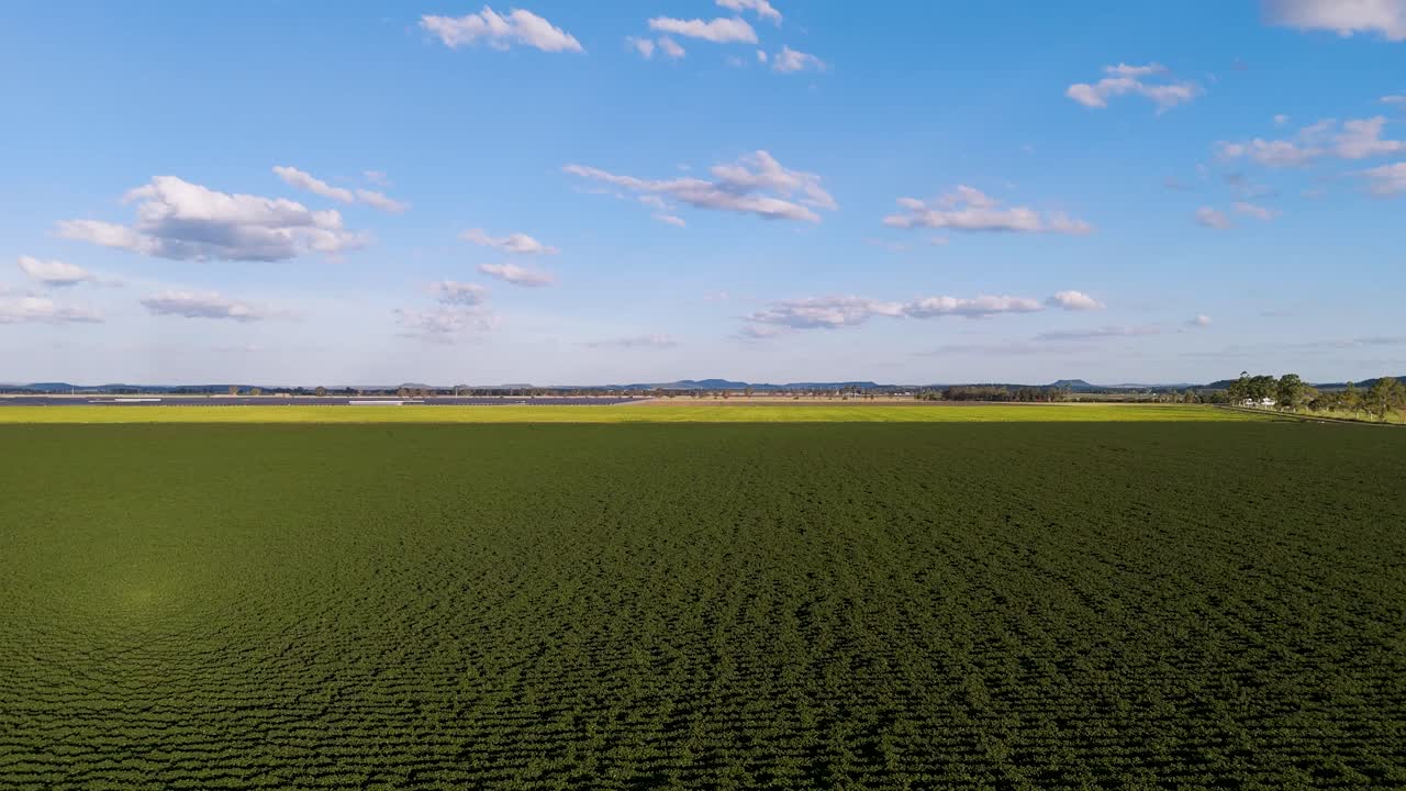 Expansive fields with solar panels and crops