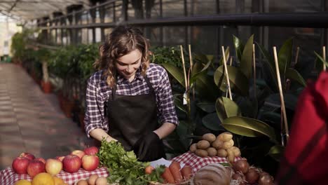 portrait of european saleswoman wearing apron is giving organic food in brown paper bag to female customer in greenhouse. cheerful, smillling woman selling organic food from the table, making notes after purchase