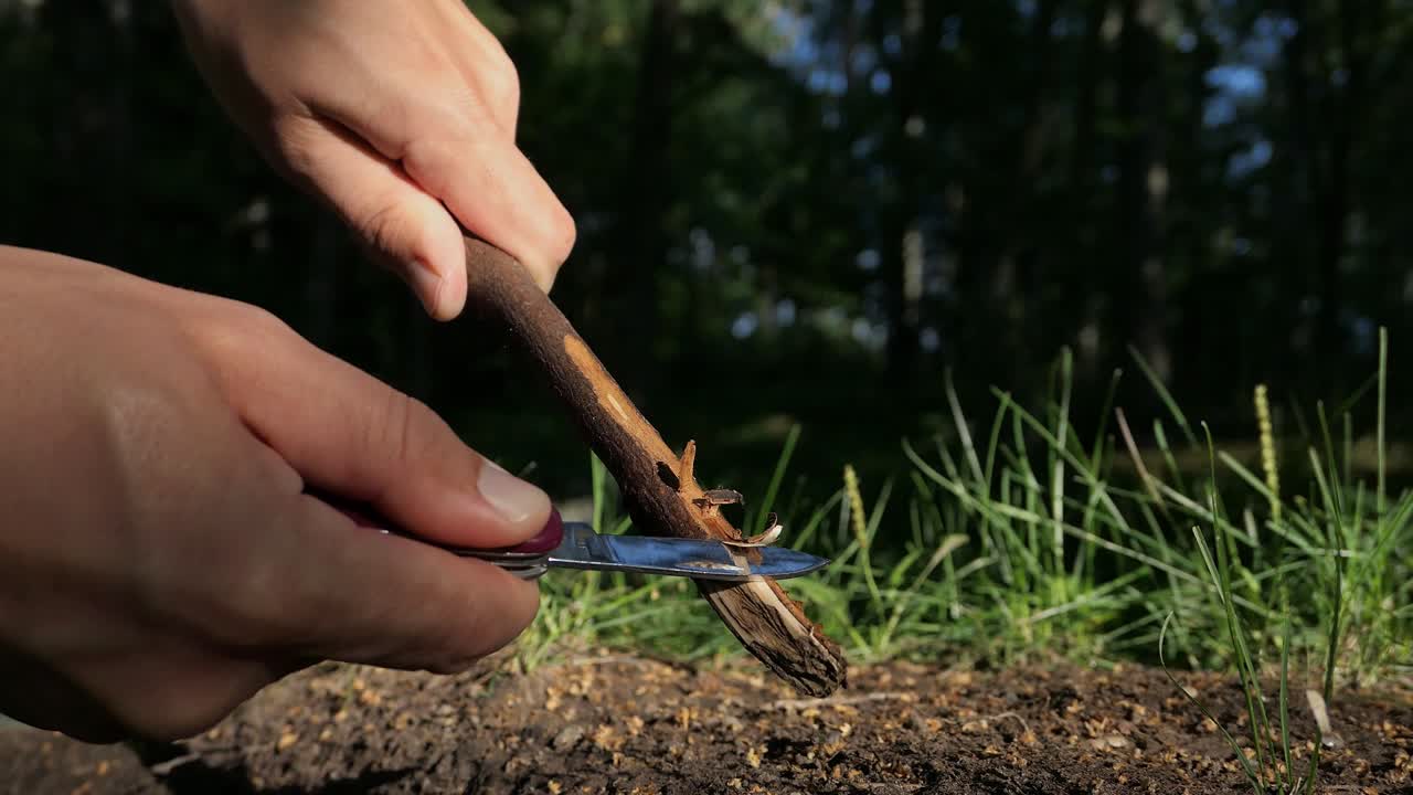 hombre tallando un palo de madera con un cuchillo en la naturaleza, afilando madera, de cerca
