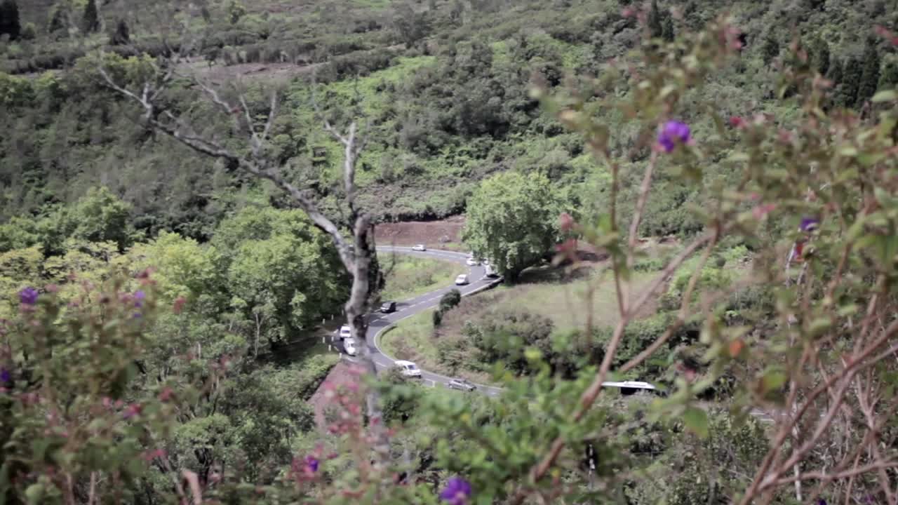 carretera con tráfico en un bello entorno verde, con un primer plano borroso, en tiempo real, concepto de transporte
