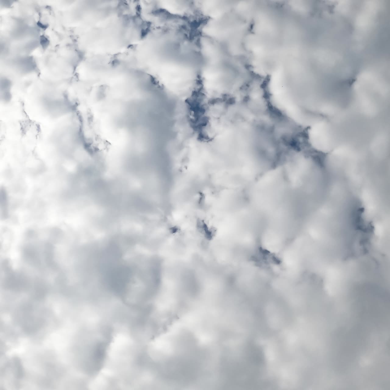 Stratus clouds spreading all over the sky. Rainy cloudscape formation in the atmosphere. Low angle view. Timelapse