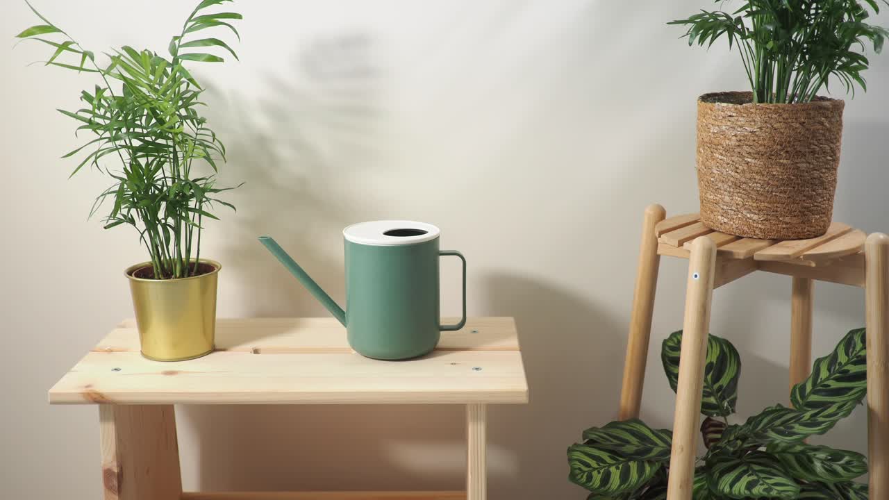 Indoor plants and watering can on wooden furniture