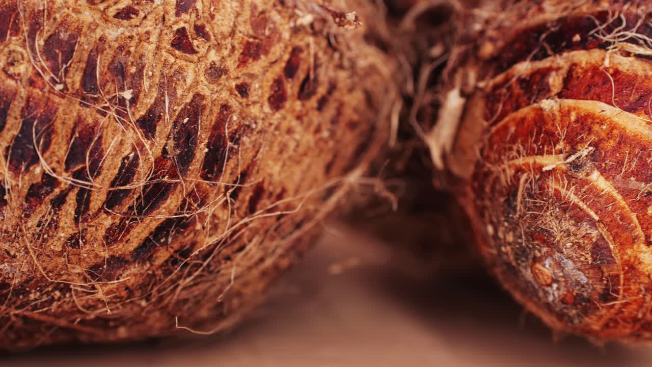 Close-up of Taro Roots