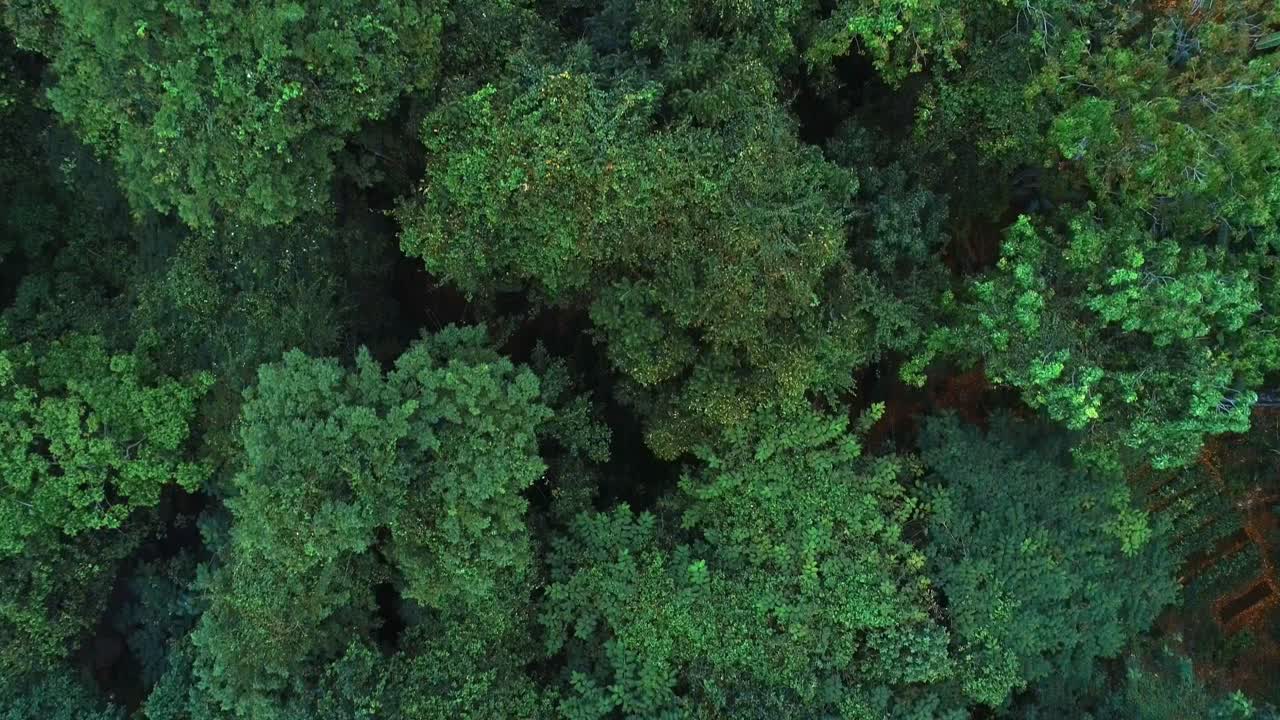 vista aérea del jardín de rocas morogoro-11